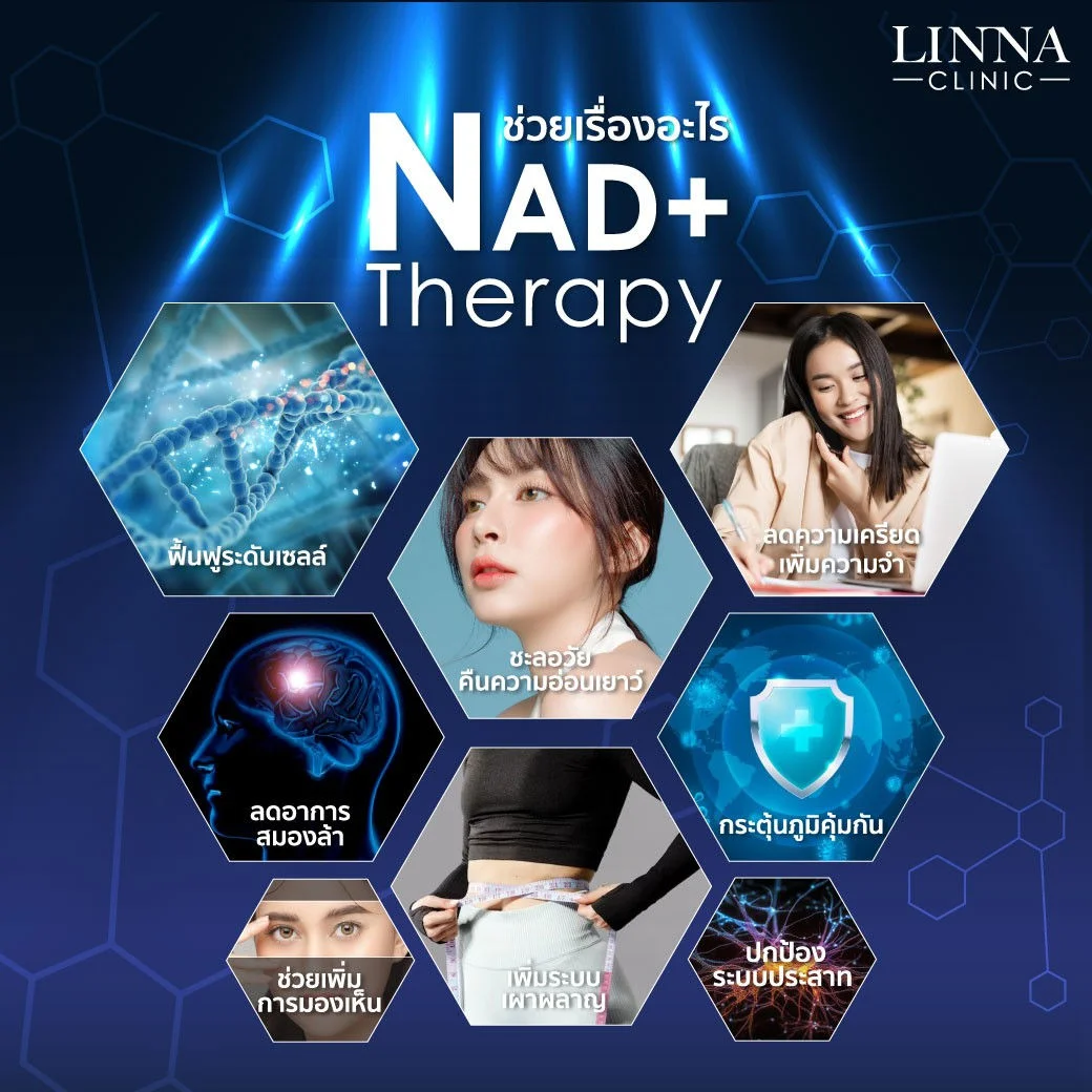 How NAD+ works at cellular level