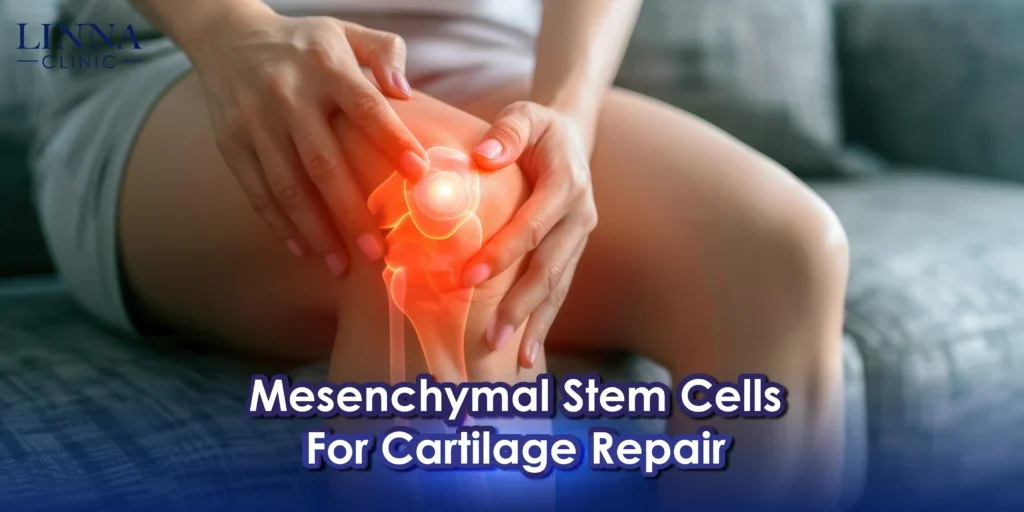 Chondrogenic MSC — Joint & cartilage system at LINNA Clinic