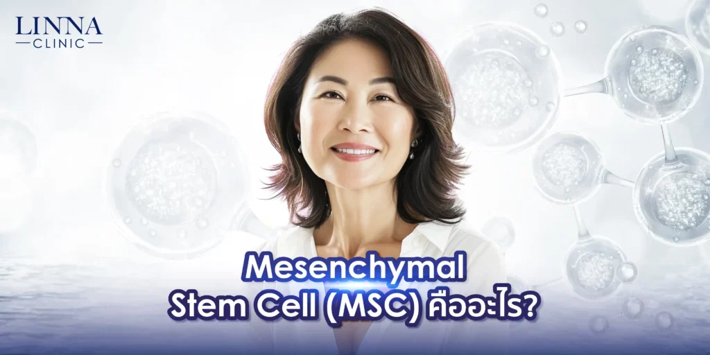 Mesenchymal MSC — Whole-body cellular foundation