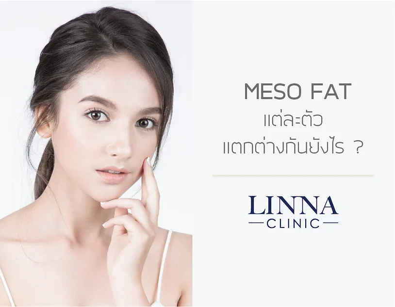 เมโสแฟตที่ LINNA แต่ละอันต่างกันยังไง