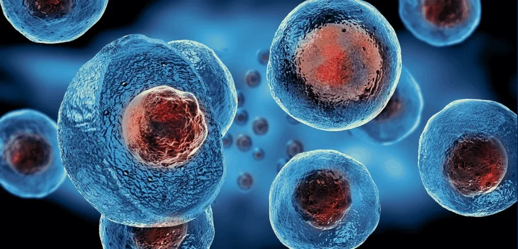 8 Things to Know Before Getting Stem Cell Injections for Radiant Skin and DNA-Level Rejuvenation